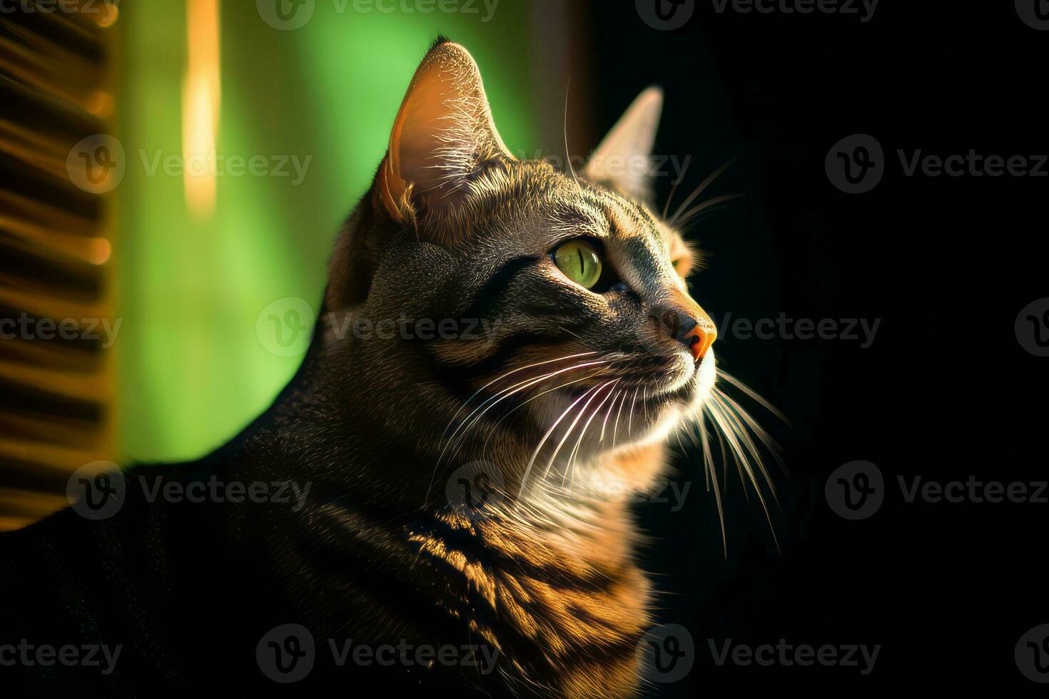 a close up of a cat looking out a window generative AI photo