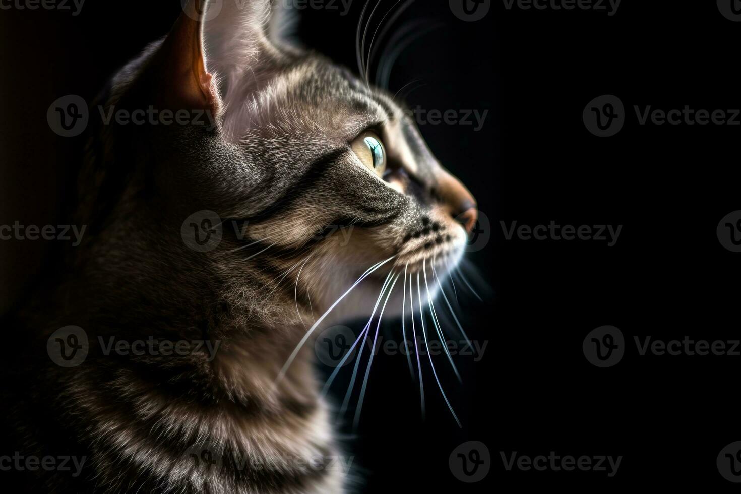 a close up of a tabby cat looking off into the distance generative AI photo