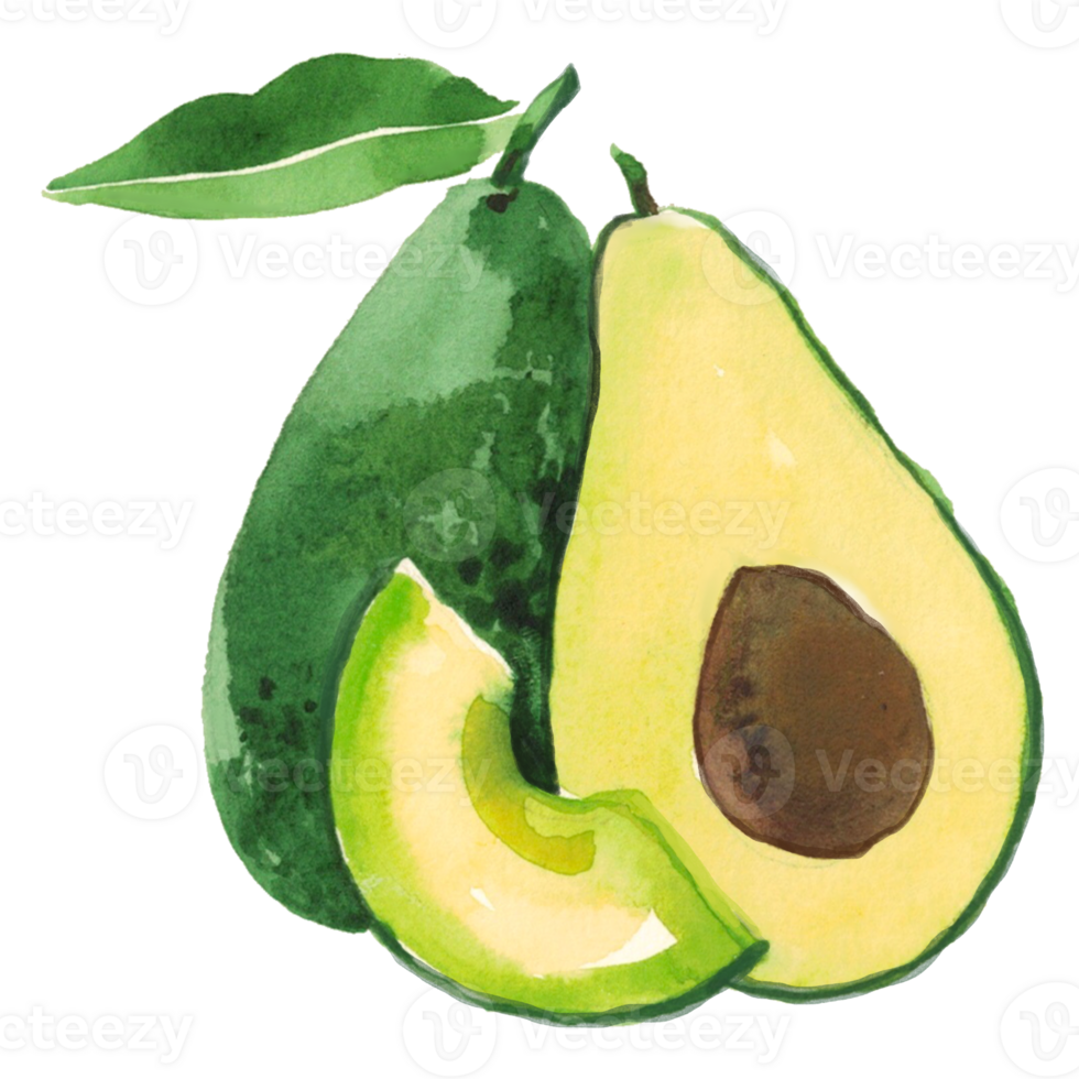 avocado watercolor fruit png