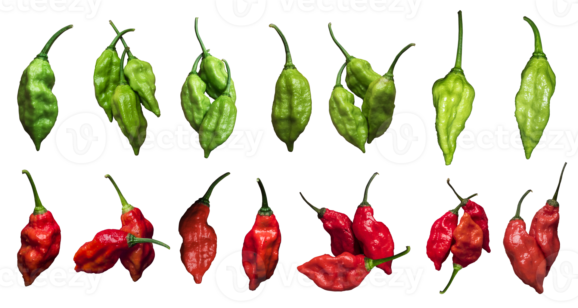 Red and green fresh chili peppers isolated on a white or transparent