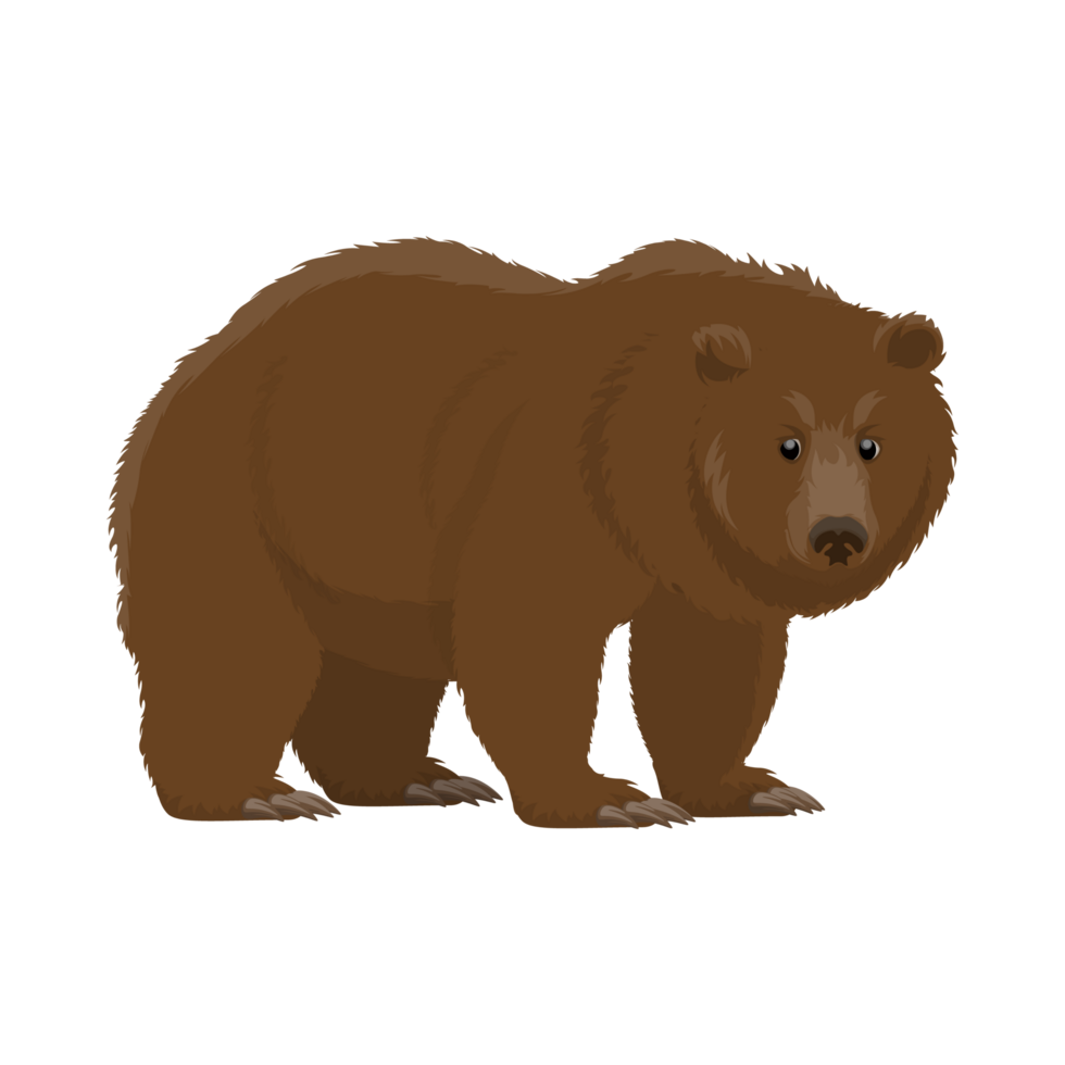 a tema fauna selvatica Marrone orso decalcomanie png