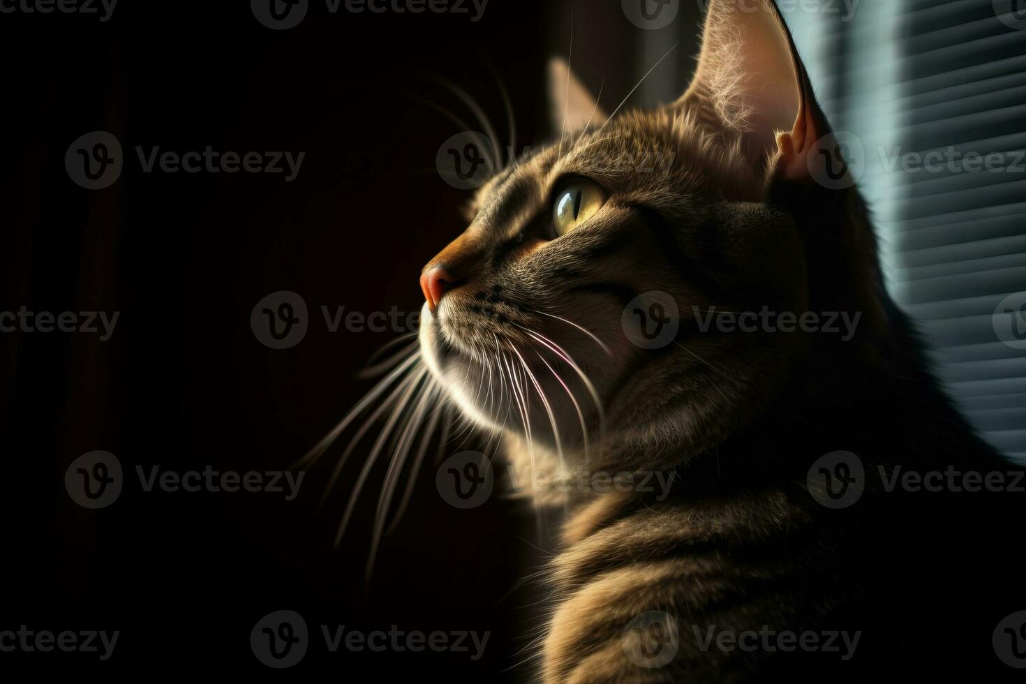 a cat is looking out the window in the dark generative AI photo