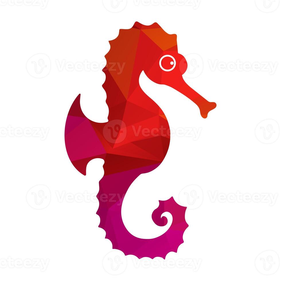 Seahorse pattern colors vector illustration photo