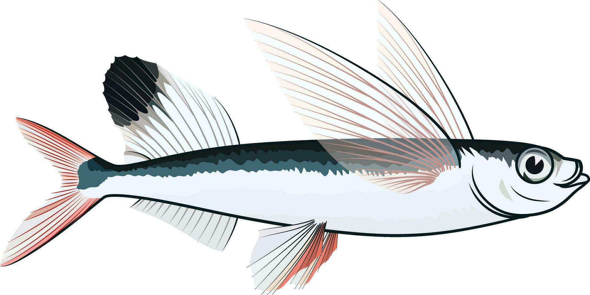 volador pescado o rayo con aletas pescado vector ilustración, exocoetidae, volador bacalao de colores y negro y blanco línea Arte valores vector imagen