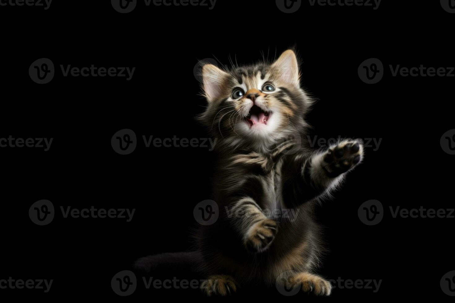 Kitten on black background with copy space. AI Generated photo