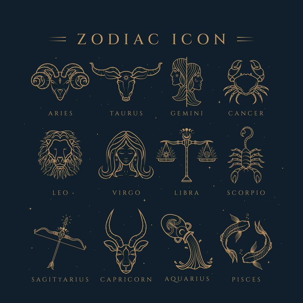 Zodiac Icons Symbol Illustration vector