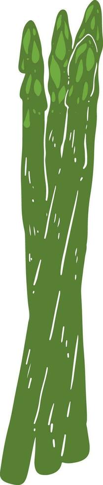 Organic Asparagus Element vector