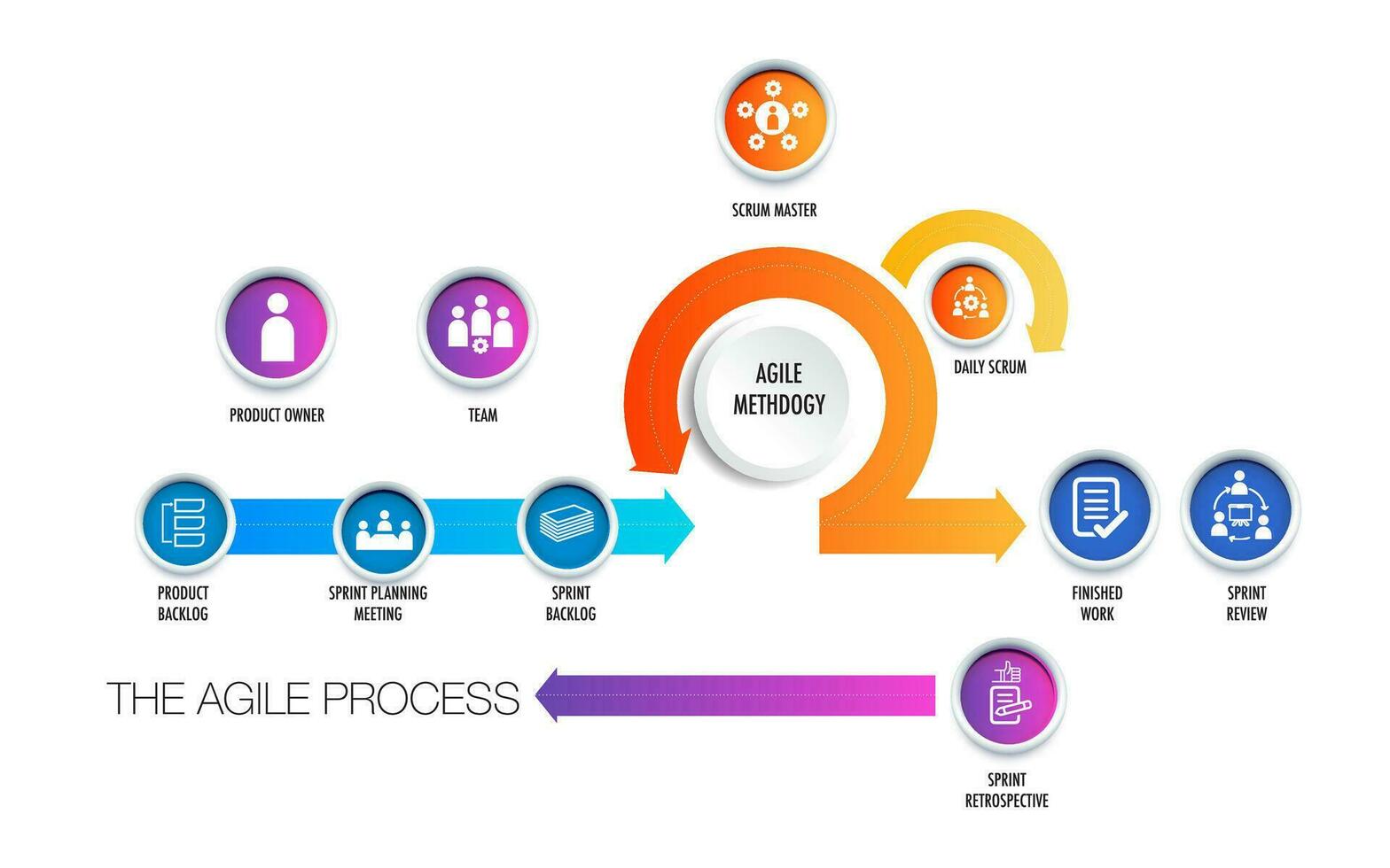 Agile strategic methodology sprint, scrum, approach, digital marketing framework , plan, manage and optimize digital channels, project infographic. vector