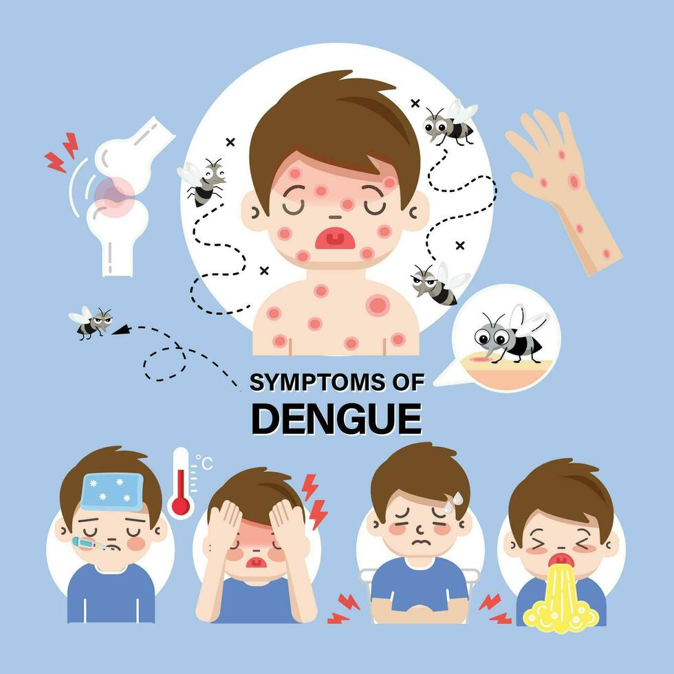 illustration of dengue fever symptoms infographics vector background