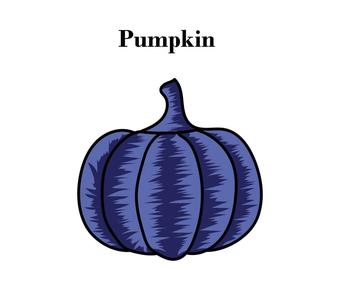 Pumpkin for Halloween or Thanksgiving colorful design with vector illustrations