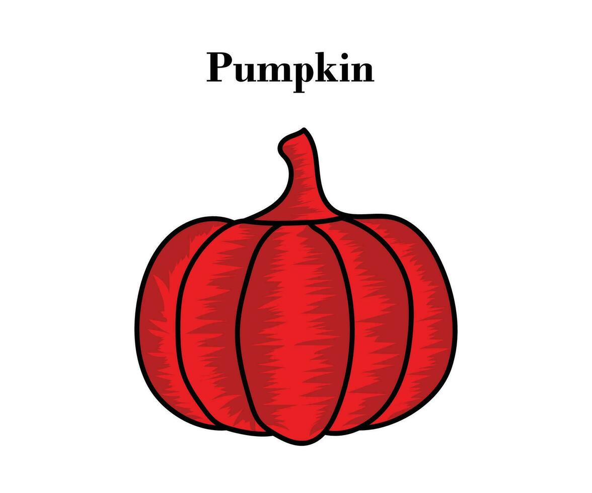 Pumpkin for Halloween or Thanksgiving colorful design with vector illustrations