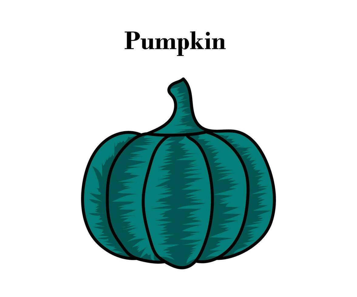 Pumpkin for Halloween or Thanksgiving colorful design with vector illustrations