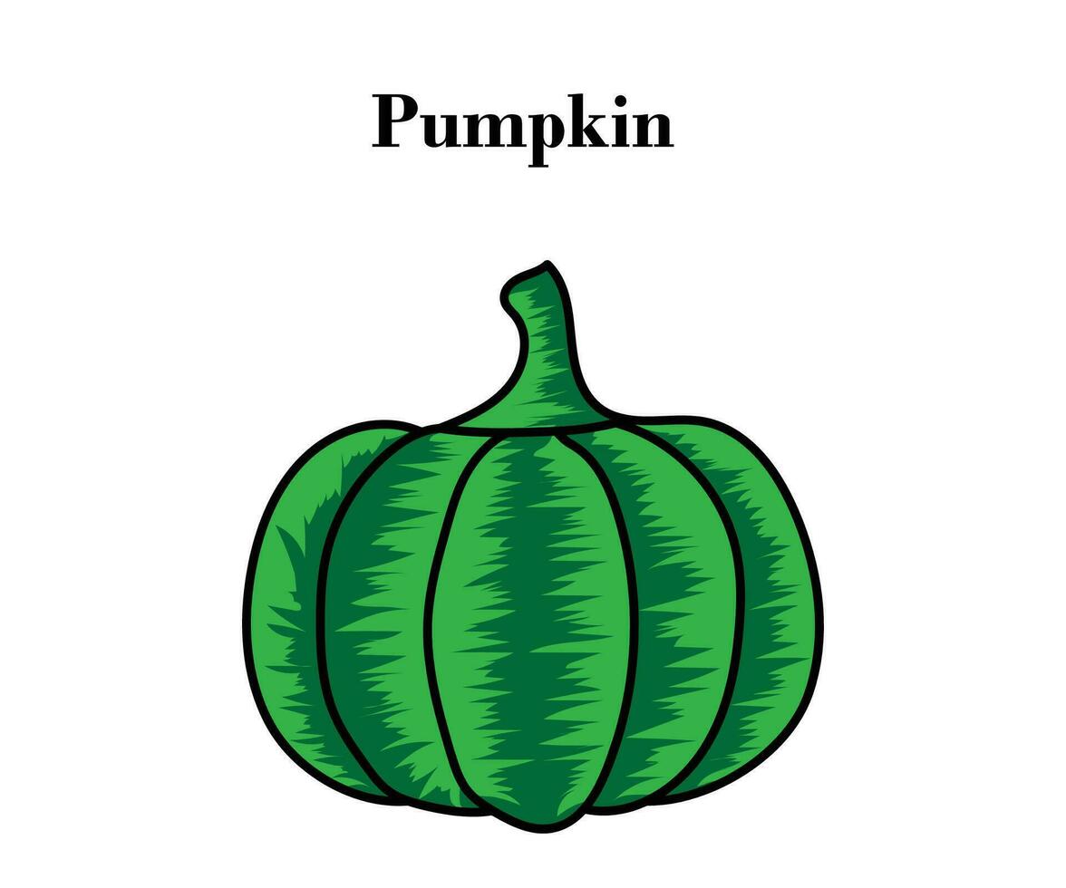 Pumpkin for Halloween or Thanksgiving colorful design with vector illustrations