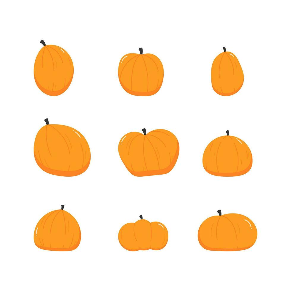Pumpkin hand drawn illustration vector