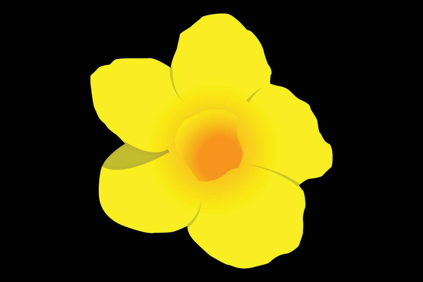 yellow color vector flower . art in illustrator .