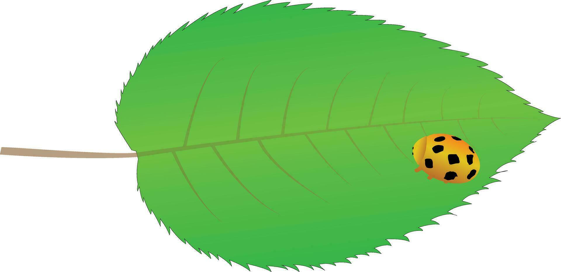 leaf and kid art in illustrator . vector