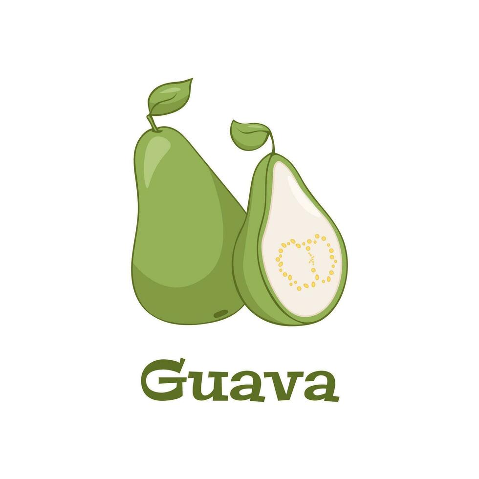 Guava, tasty edible tropical green fruit icon. Vector guava cartoon illustration isolated on white background