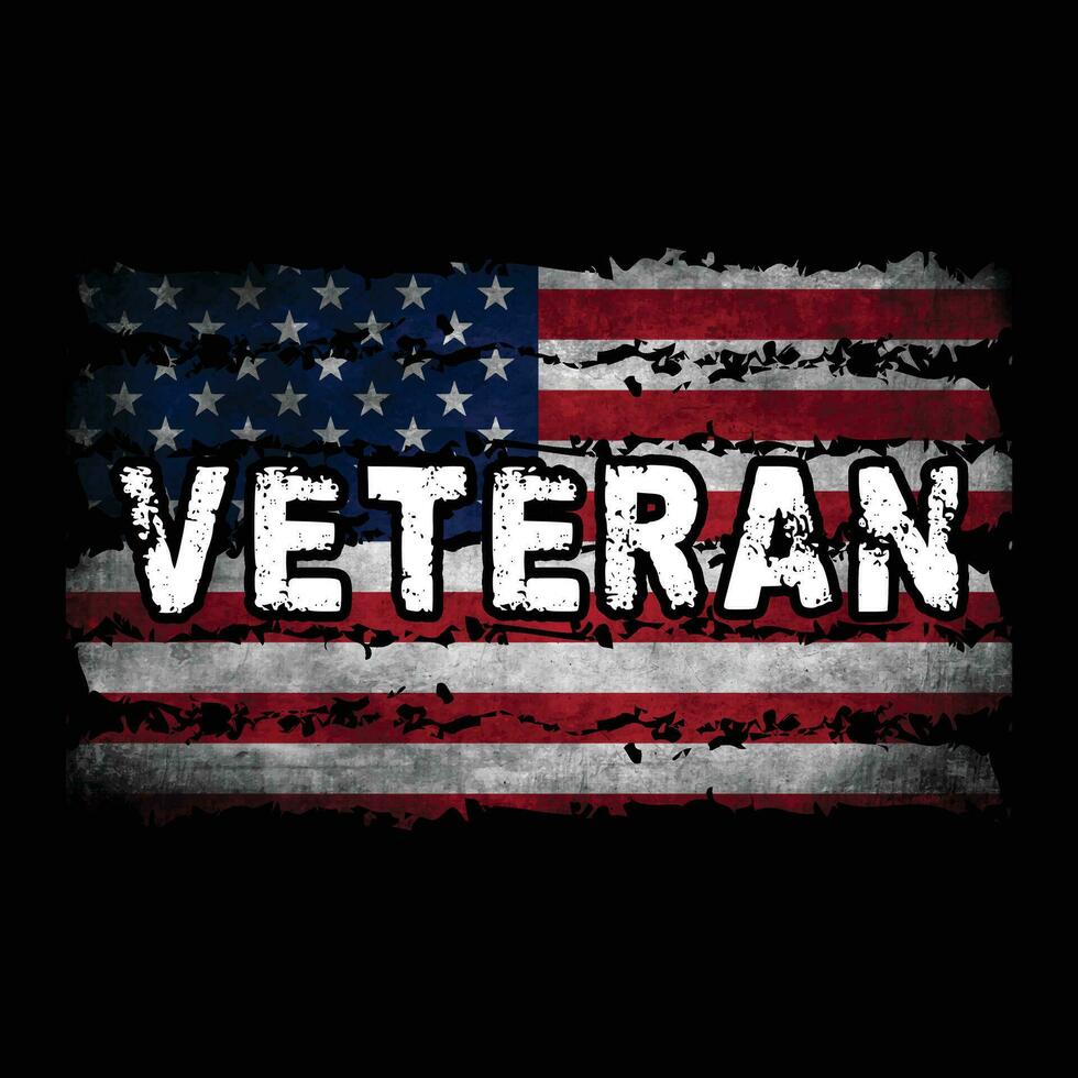 Veteran 4th of july vector