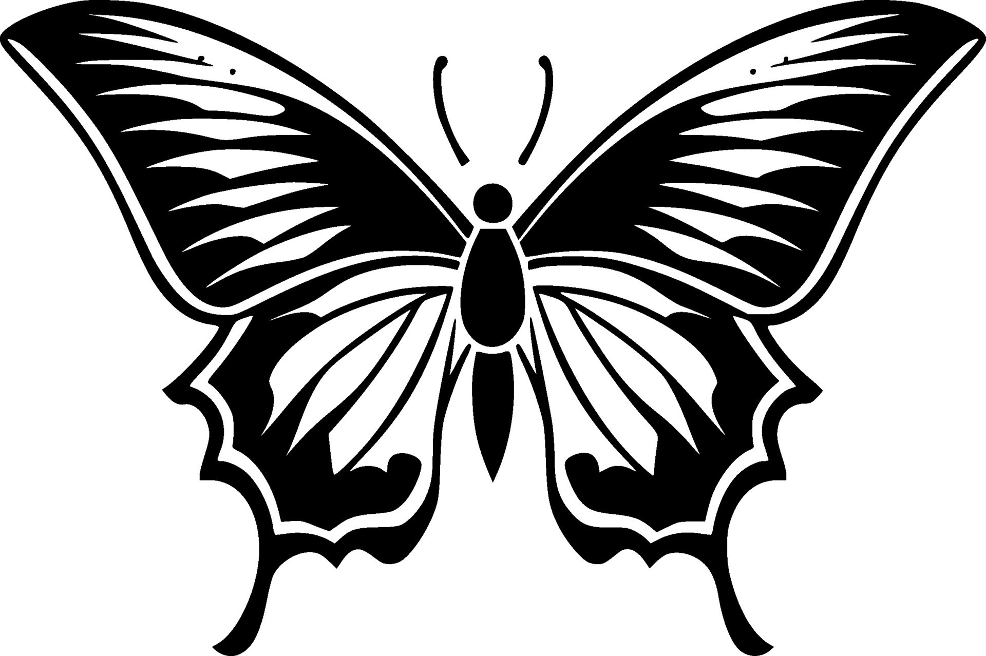 Butterfly - Black and White Isolated Icon - Vector illustration