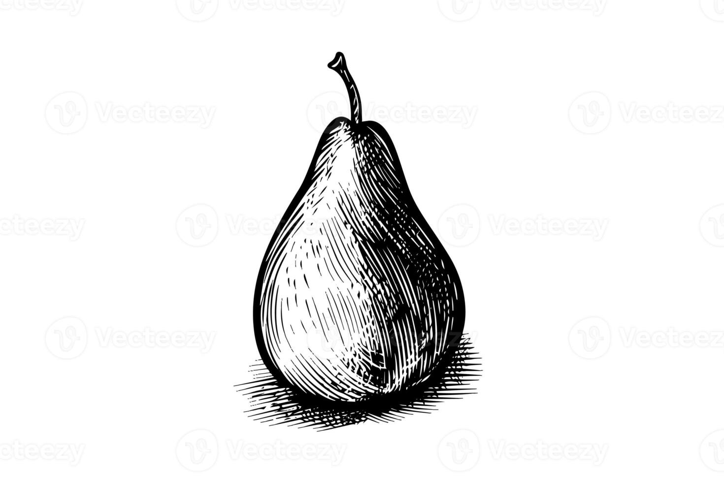 Pear. Ink sketch isolated on white background. Hand drawn vector illustration. photo