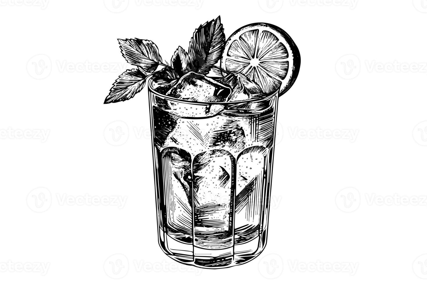 mojito cóctel grabado aislado bebida vector ilustración. negro y blanco bosquejo composición foto