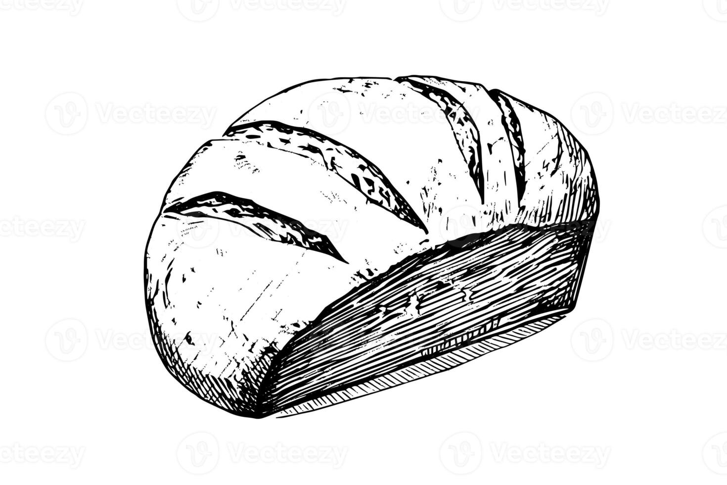 Loaf of bread. Vector hand drawn vintage engraving style vector illustration. photo