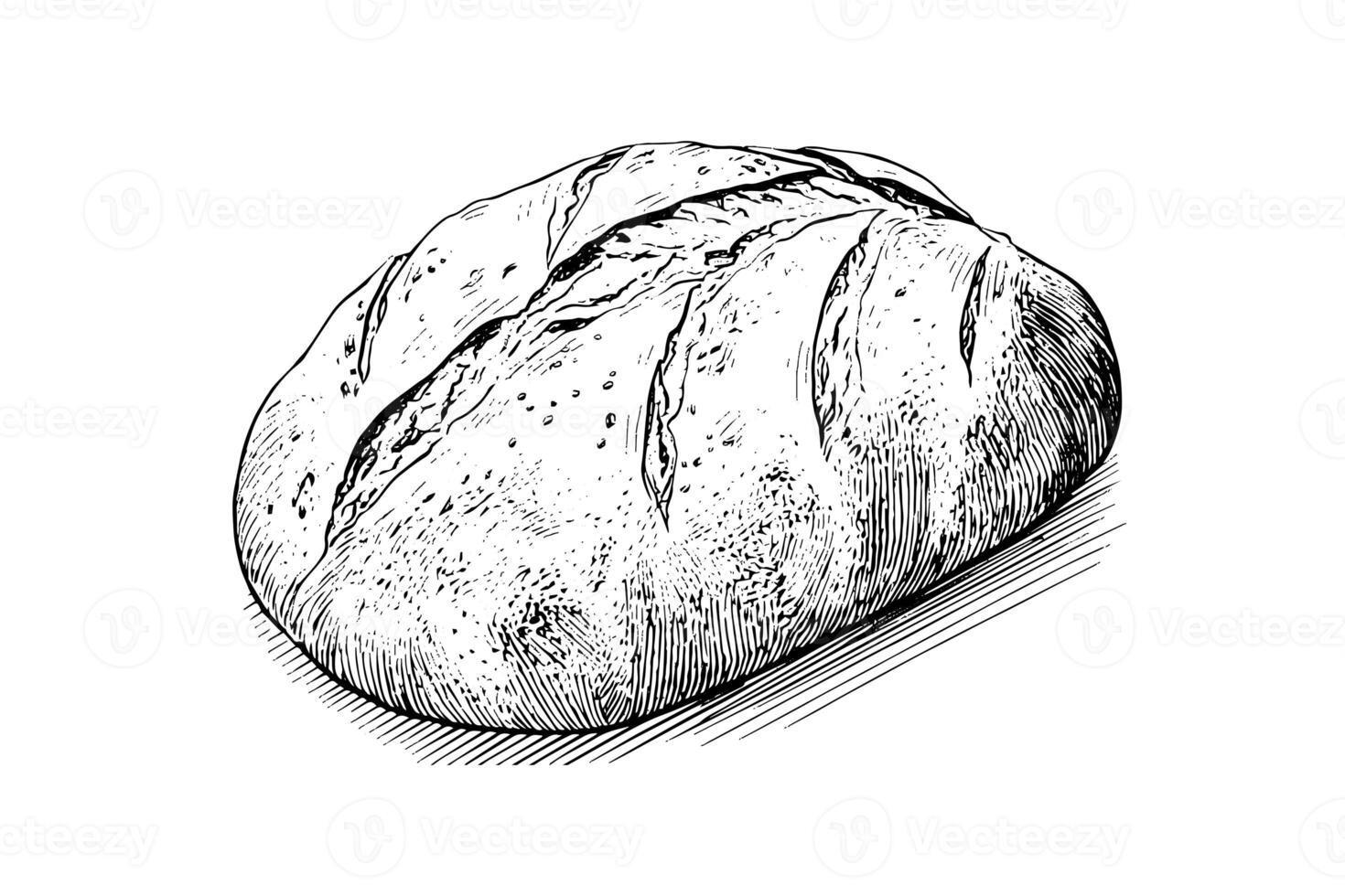 pan de un pan. vector mano dibujado Clásico grabado estilo vector ilustración. foto