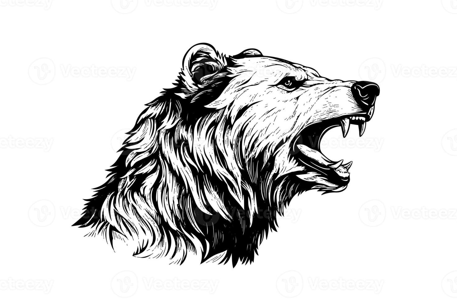 Bear head side view logotype vector engraving style illustration photo