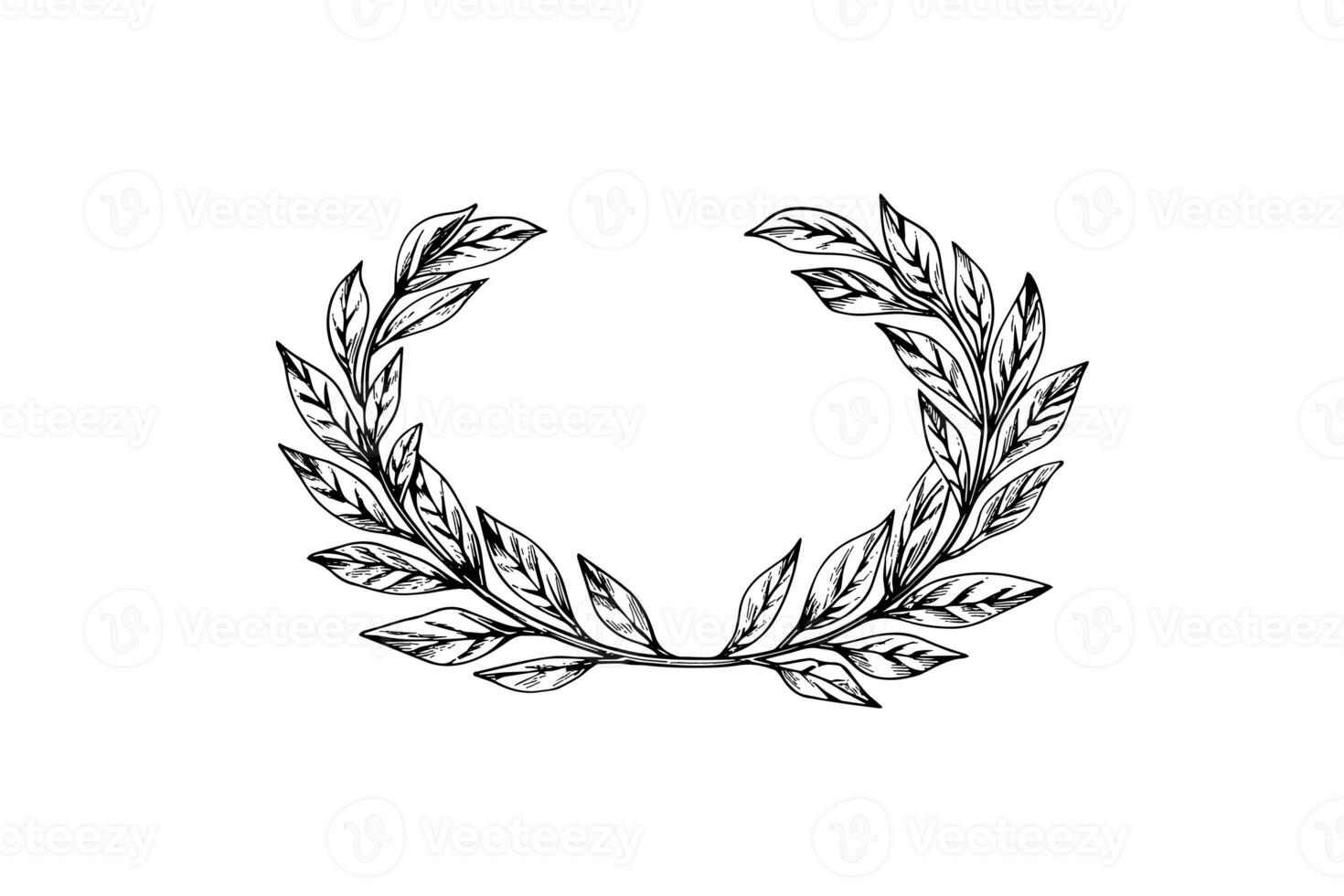 Laurel wreath vintage Baroque frame border monogram engraving vector illustration. photo