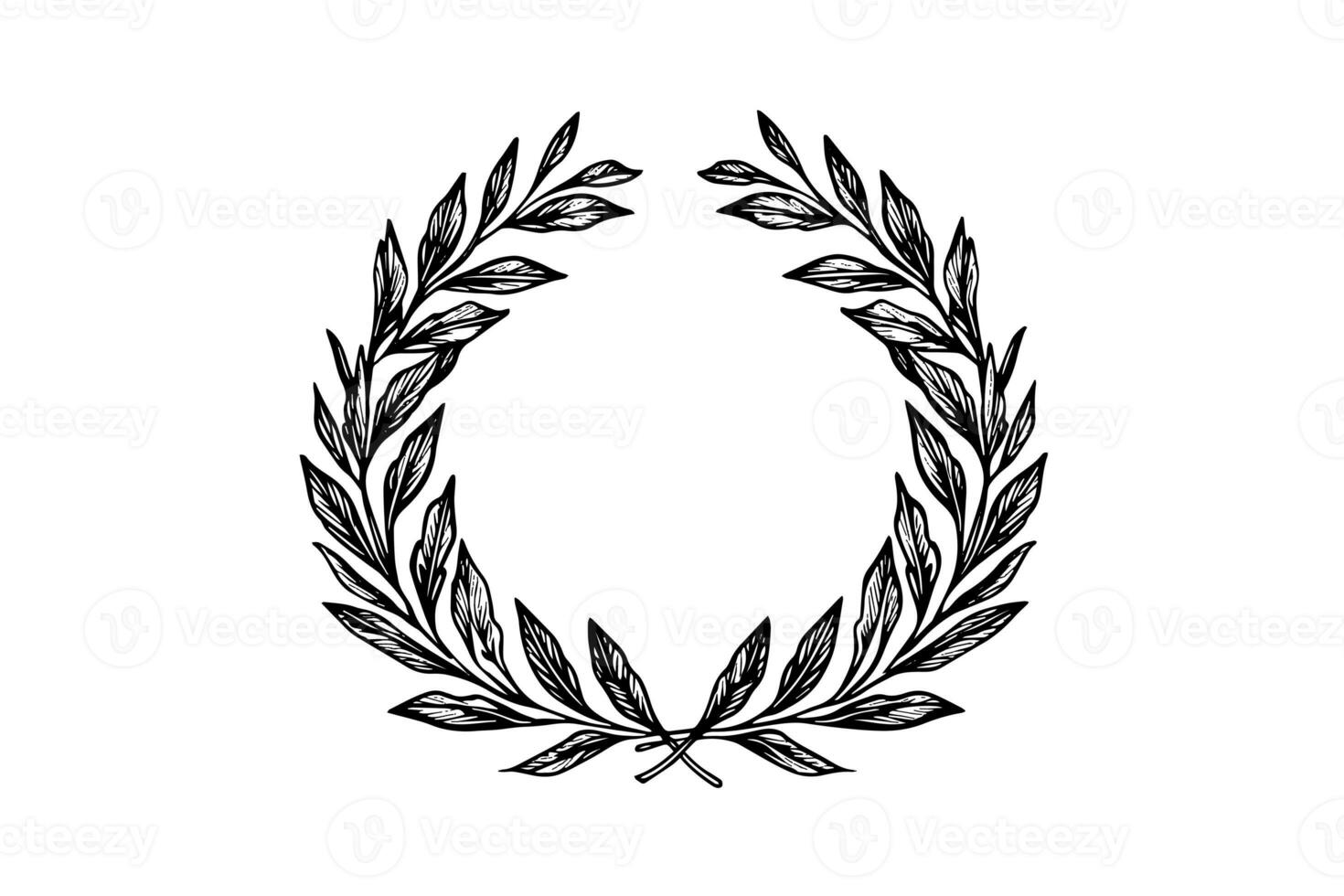 Laurel wreath vintage Baroque frame border monogram engraving vector illustration. photo