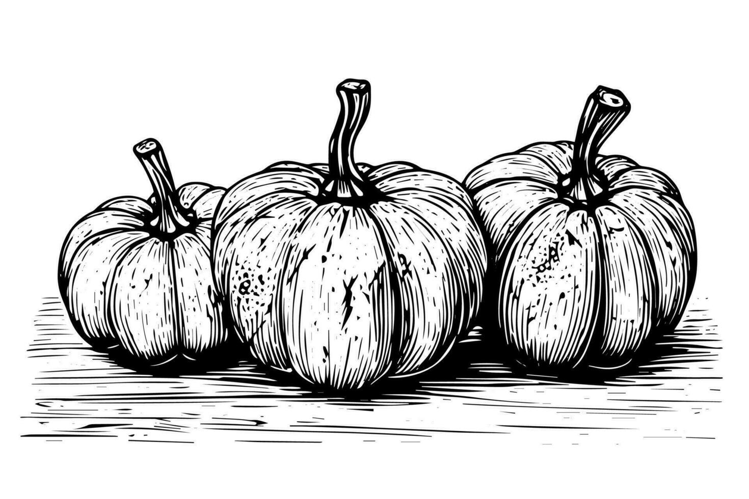 Ink sketch of pumpkin isolated on white background. Hand drawn vector illustration.