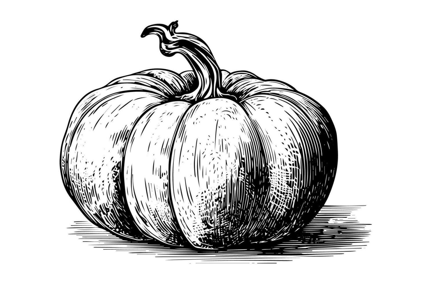 Ink sketch of pumpkin isolated on white background. Hand drawn vector illustration.