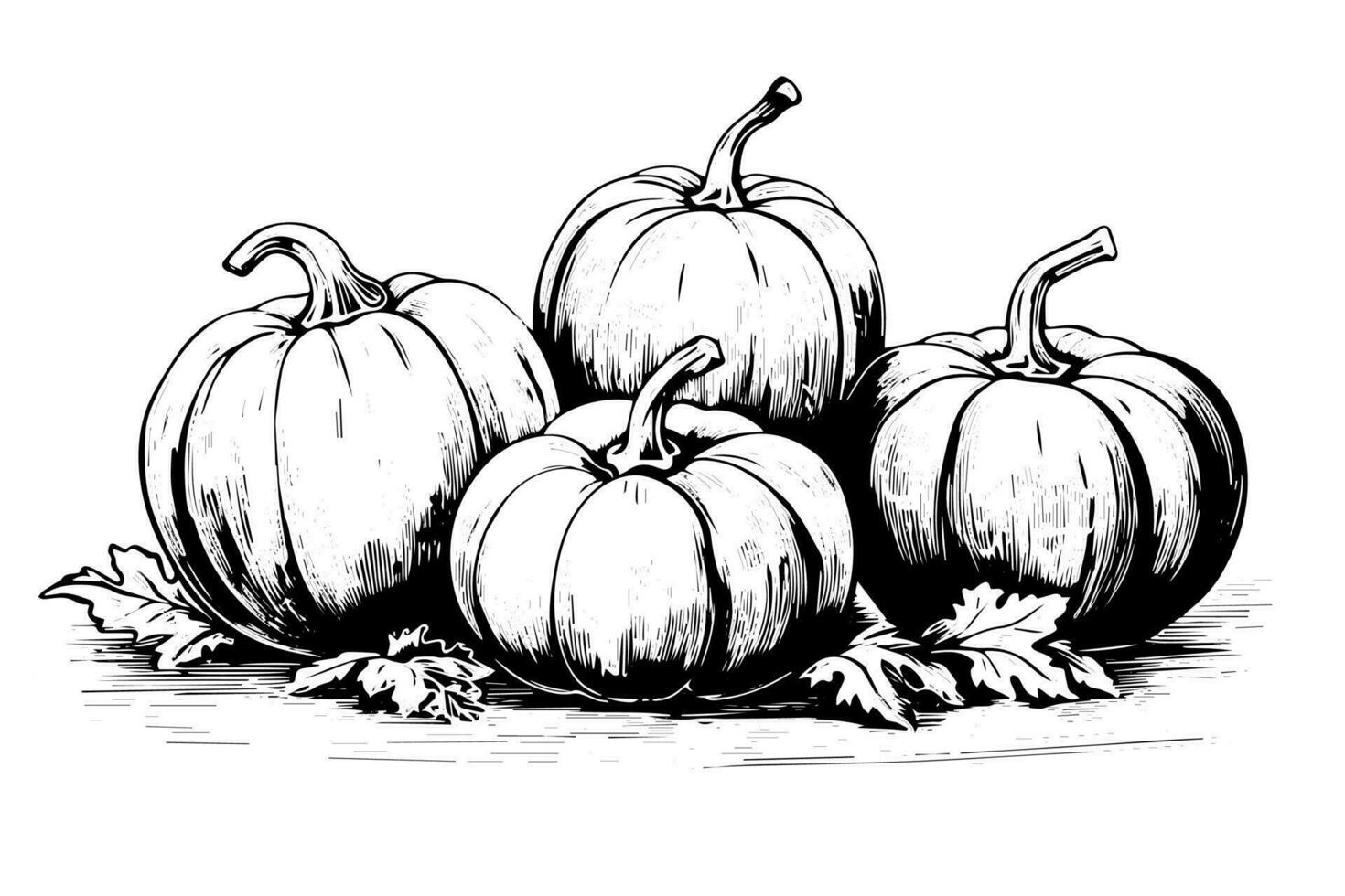 Ink sketch of pumpkin isolated on white background. Hand drawn vector illustration.