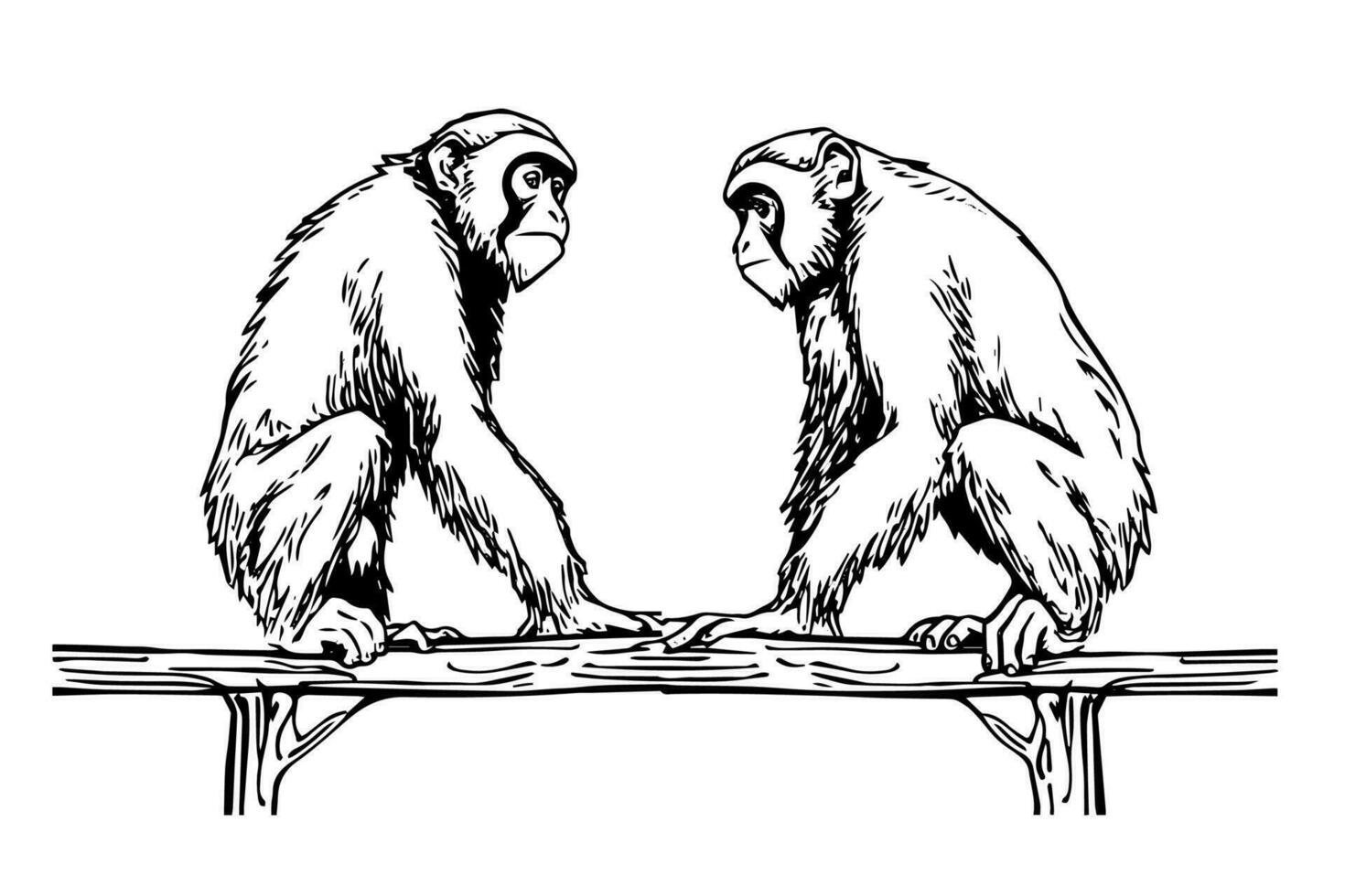 Two monkeys sitting on a branch. Ink sketch engraving vector illustration.