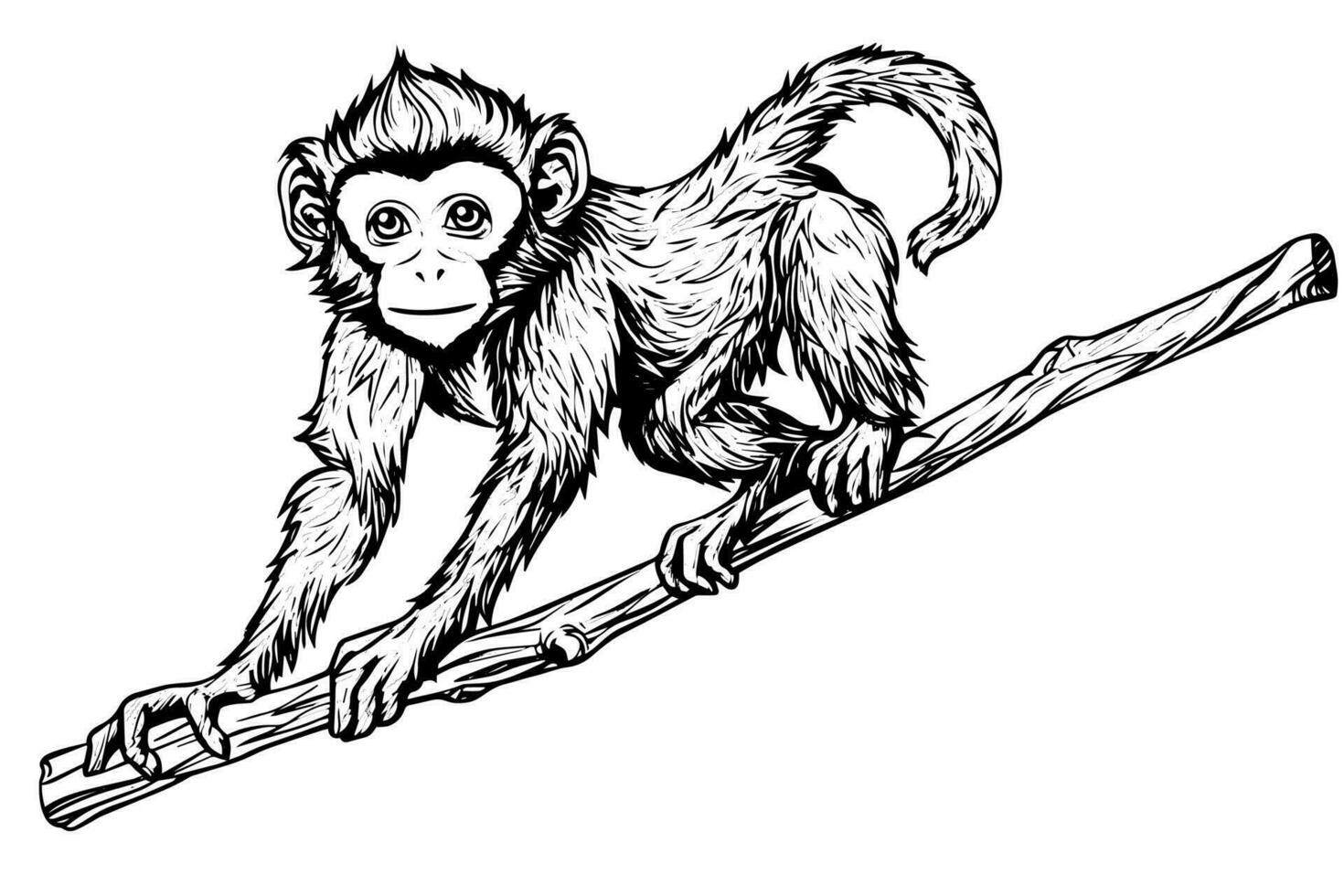 Monkey sitting on a branch. Ink sketch engraving vector illustration.