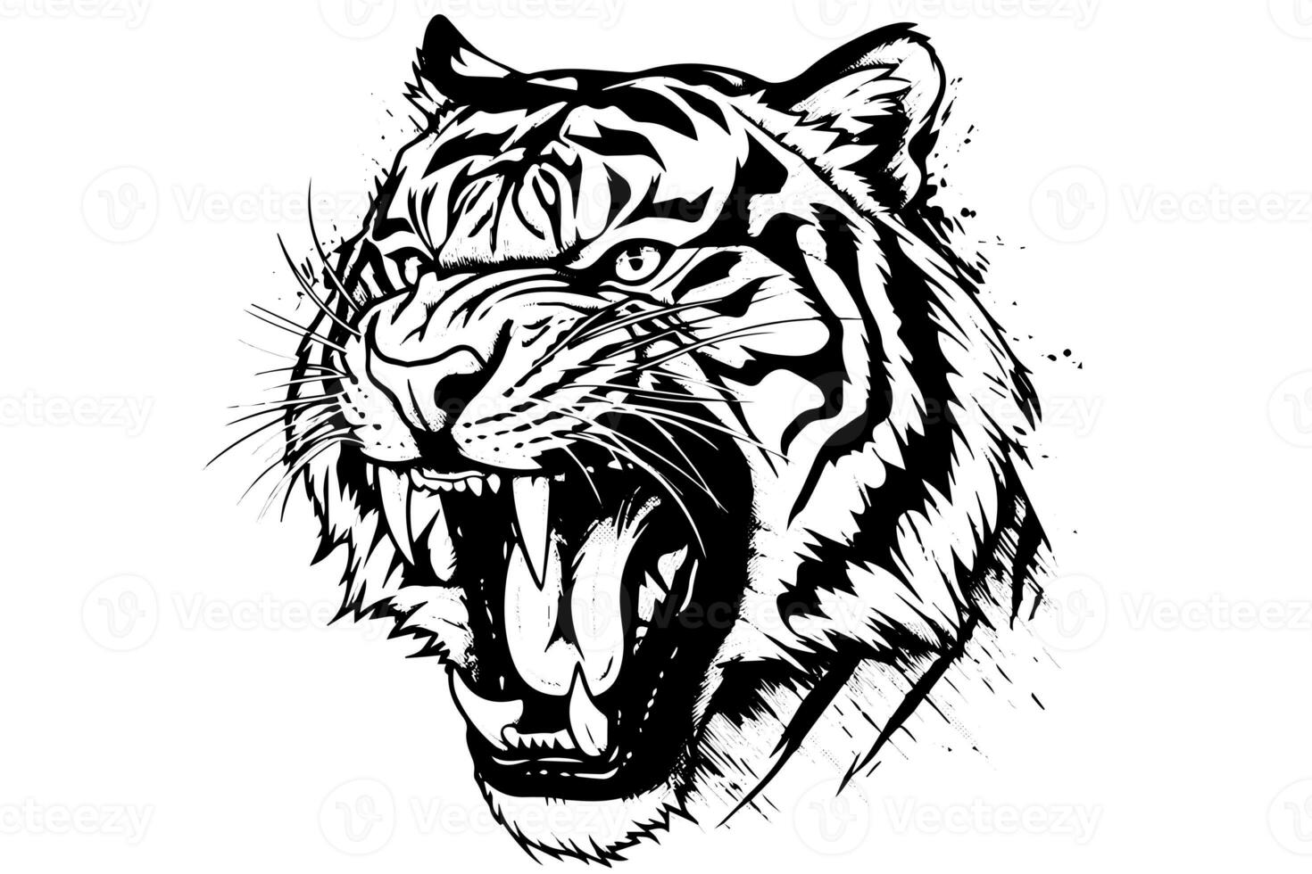 Tiger head hand drawn engraving style vector illustration. photo