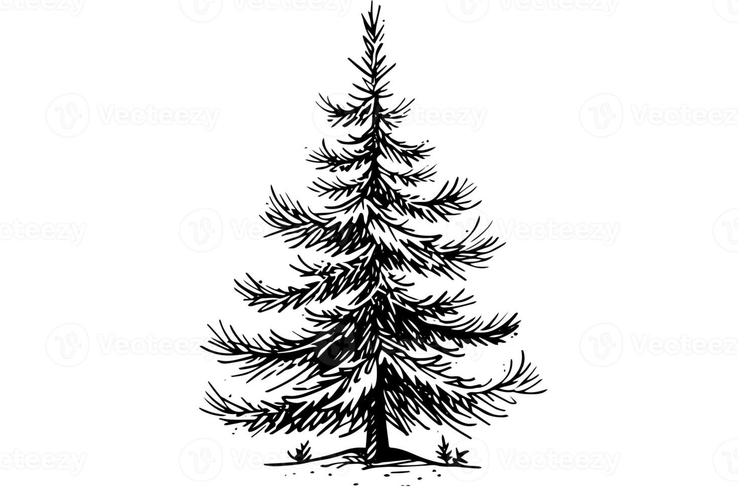 Christmas tree vector illustration. Hand drawn, engraving, ink, sketch. photo