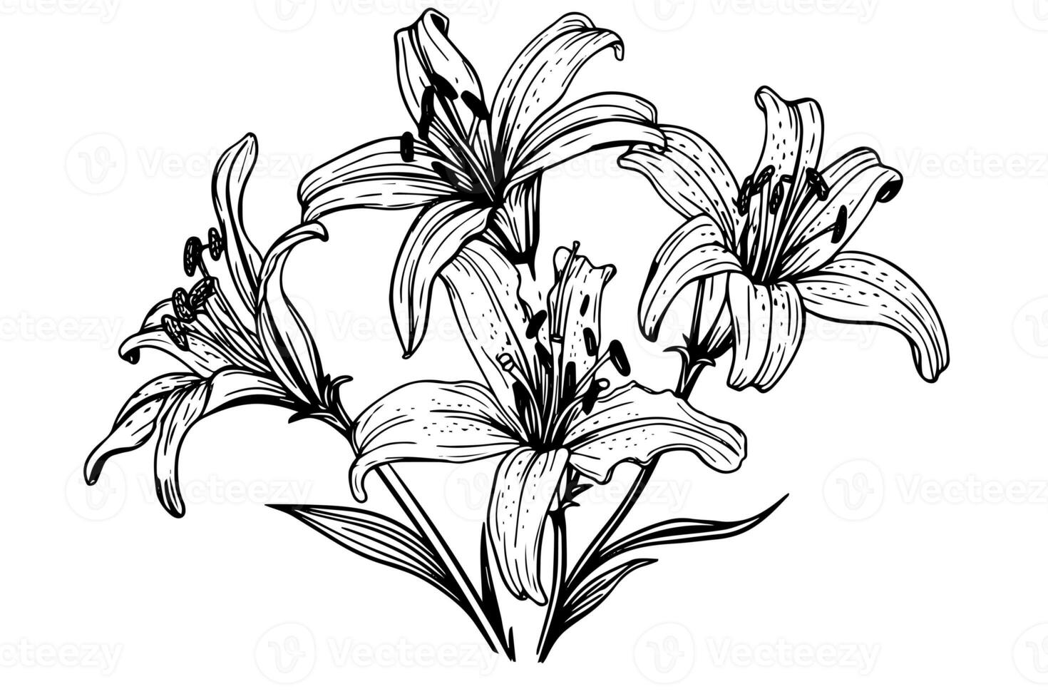 monocromo negro y blanco ramo de flores lirio aislado en blanco antecedentes. dibujado a mano vector ilustración foto