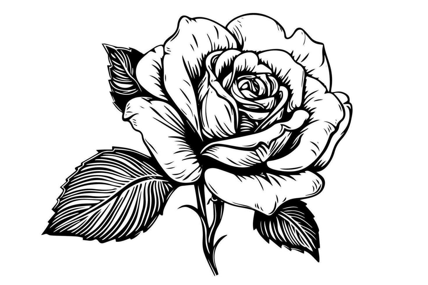 Clásico Rosa flor grabado caligráfico .victoriano estilo tatuaje vector ilustración