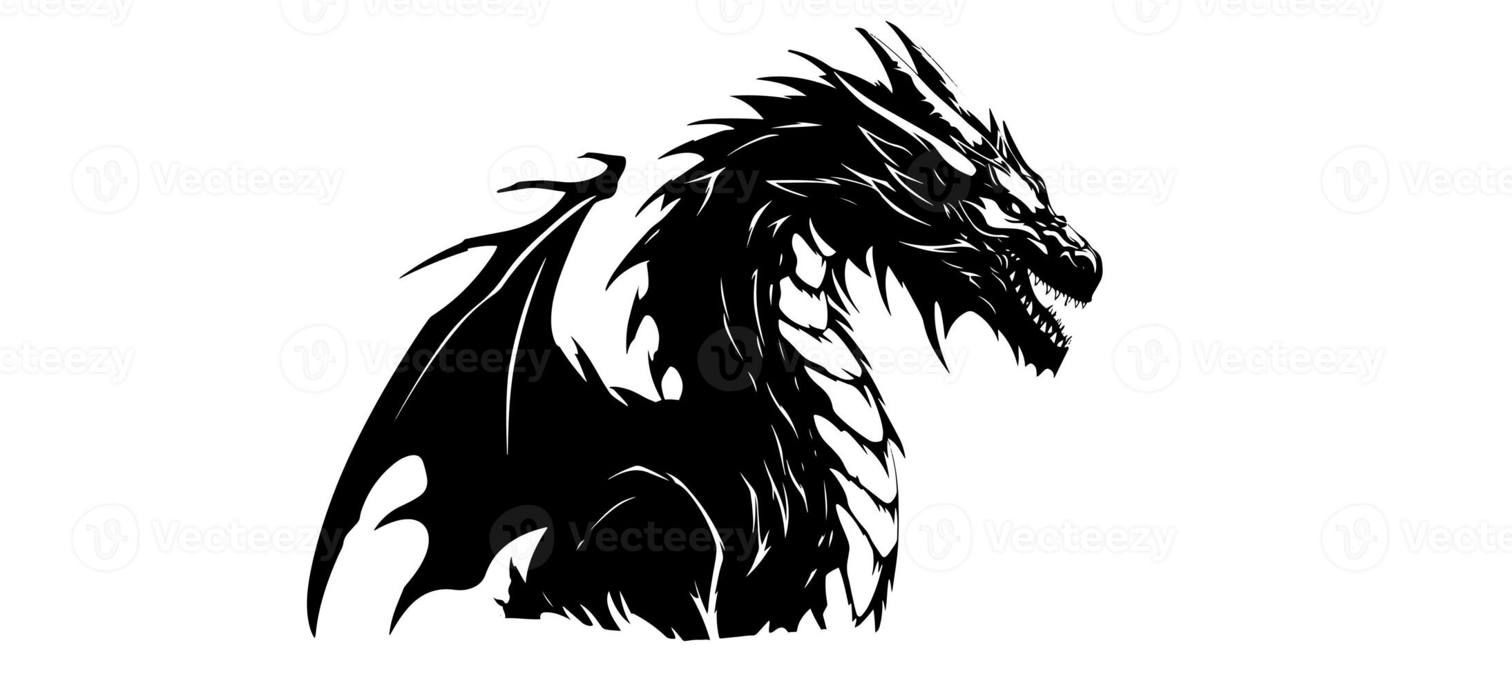 Graphic silhouette of black dragon isolated on white background. Vector illustration . photo