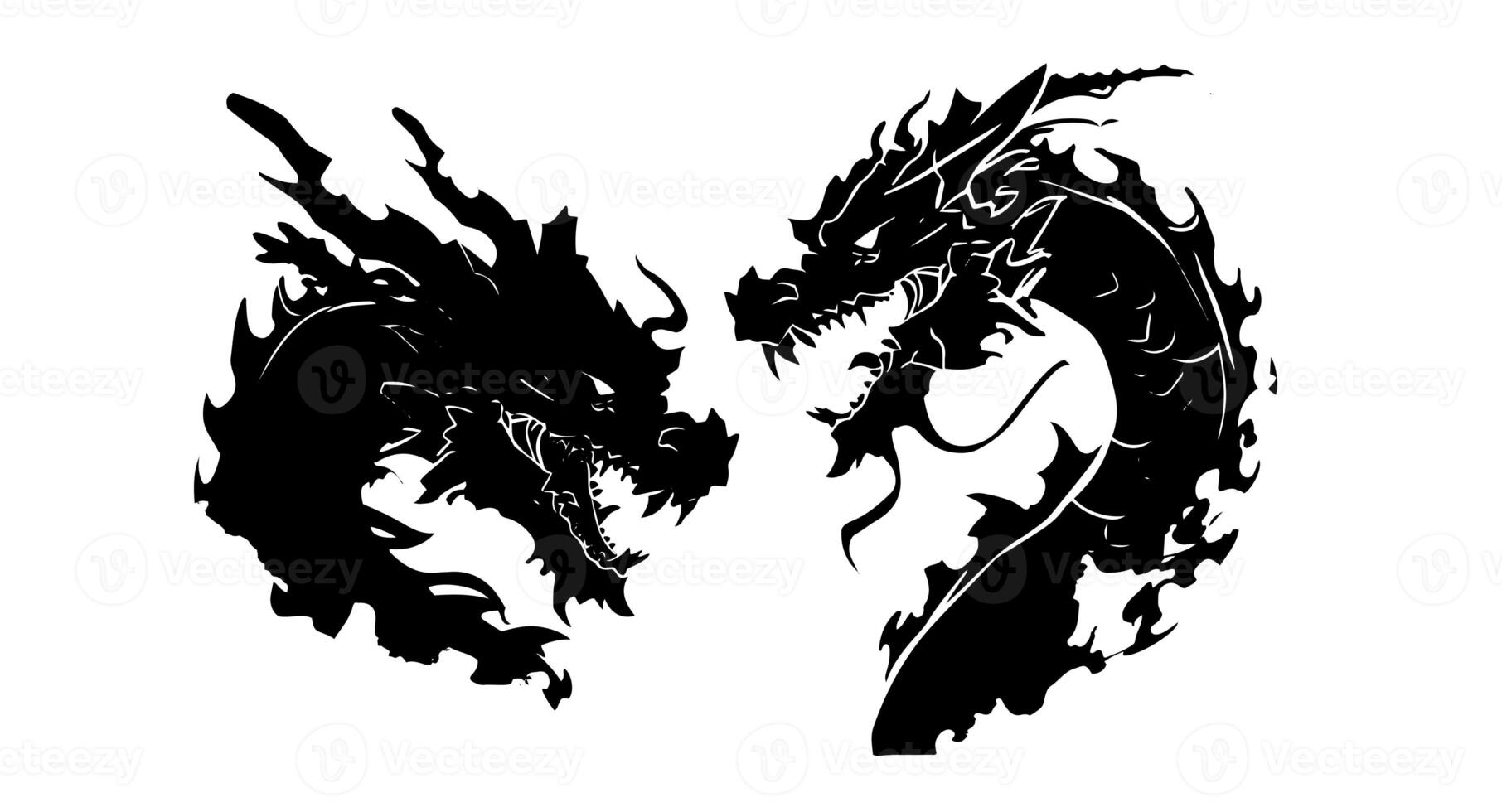 Graphic silhouette of black dragon isolated on white background. Vector illustration . photo