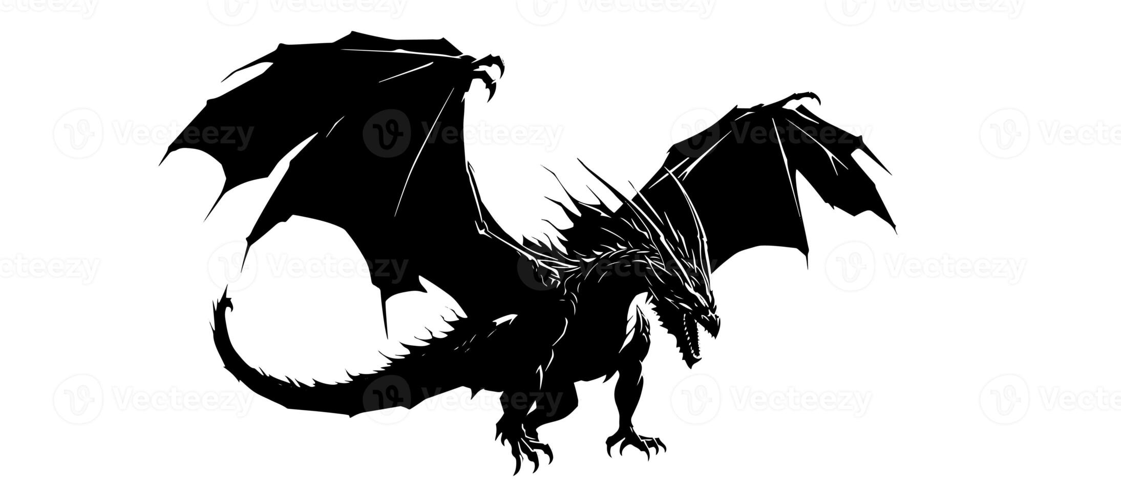 Graphic silhouette of black dragon isolated on white background. Vector illustration . photo