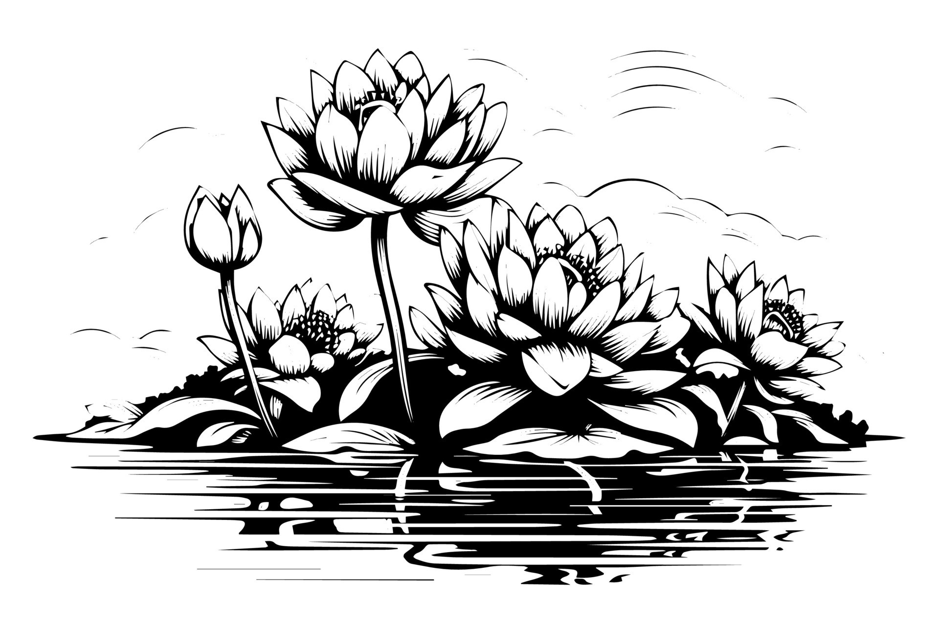 A lotus lily water flower in a vintage woodcut engraved etching style ...