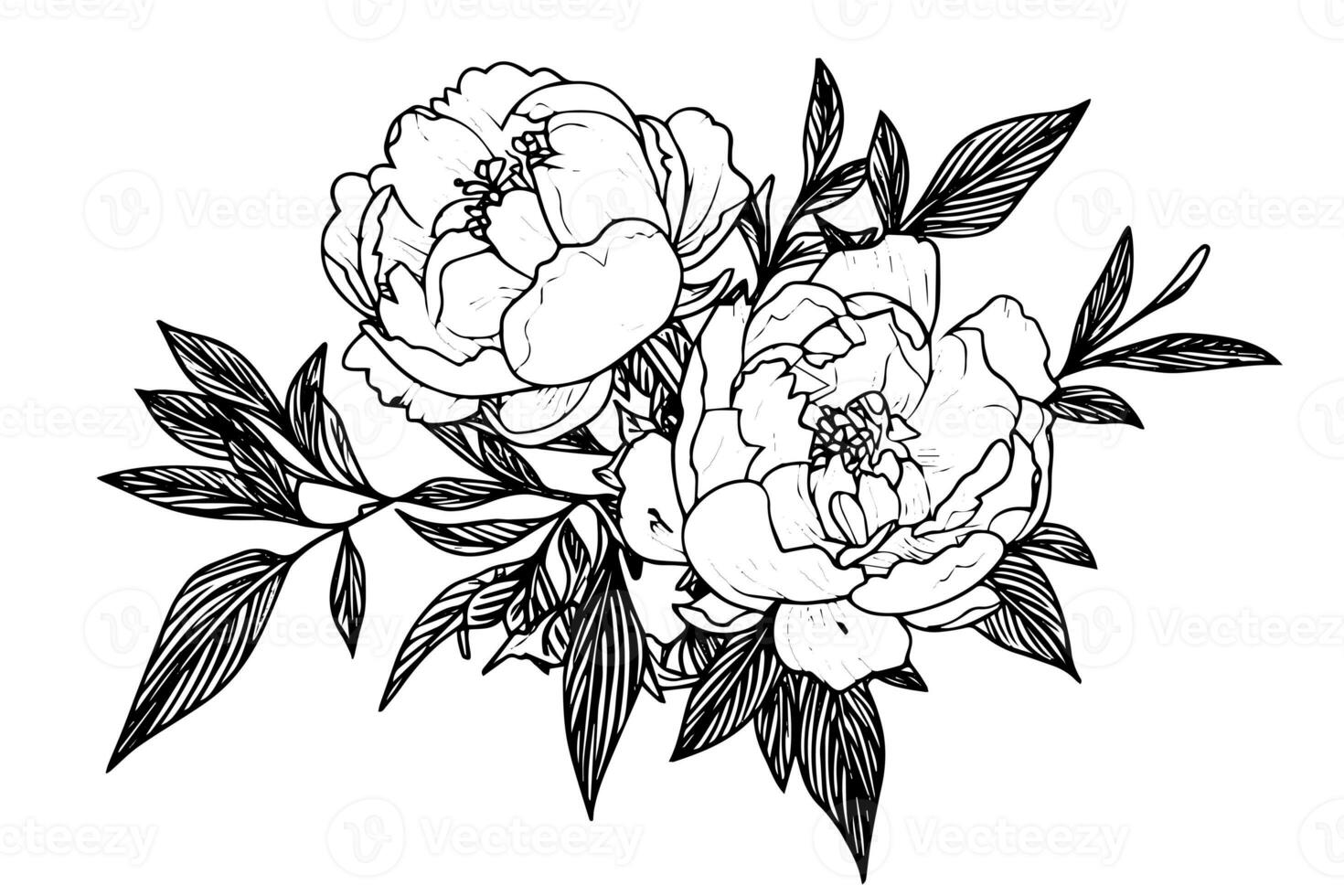 peonía flor y hojas dibujo. vector mano dibujado grabado tinta ilustración foto
