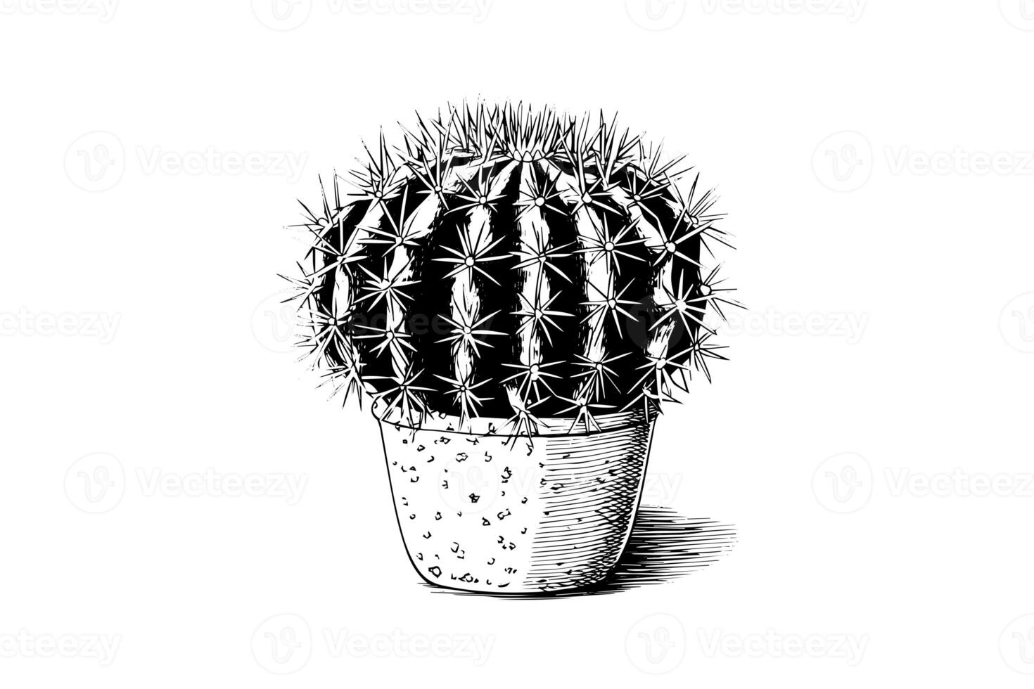 cactus mano dibujado tinta bosquejo. grabado estilo vector ilustración. foto