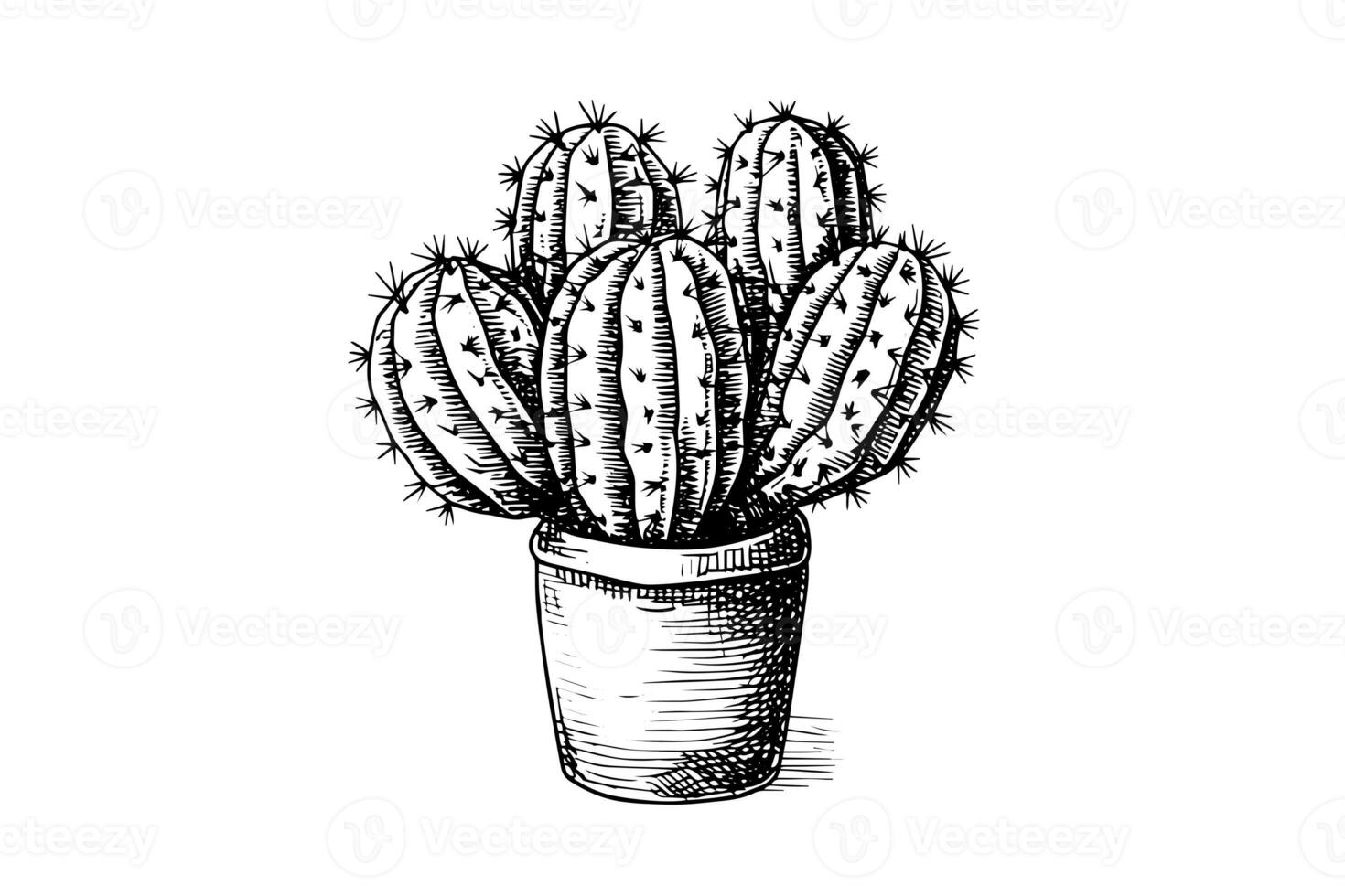cactus mano dibujado tinta bosquejo. grabado estilo vector ilustración. foto
