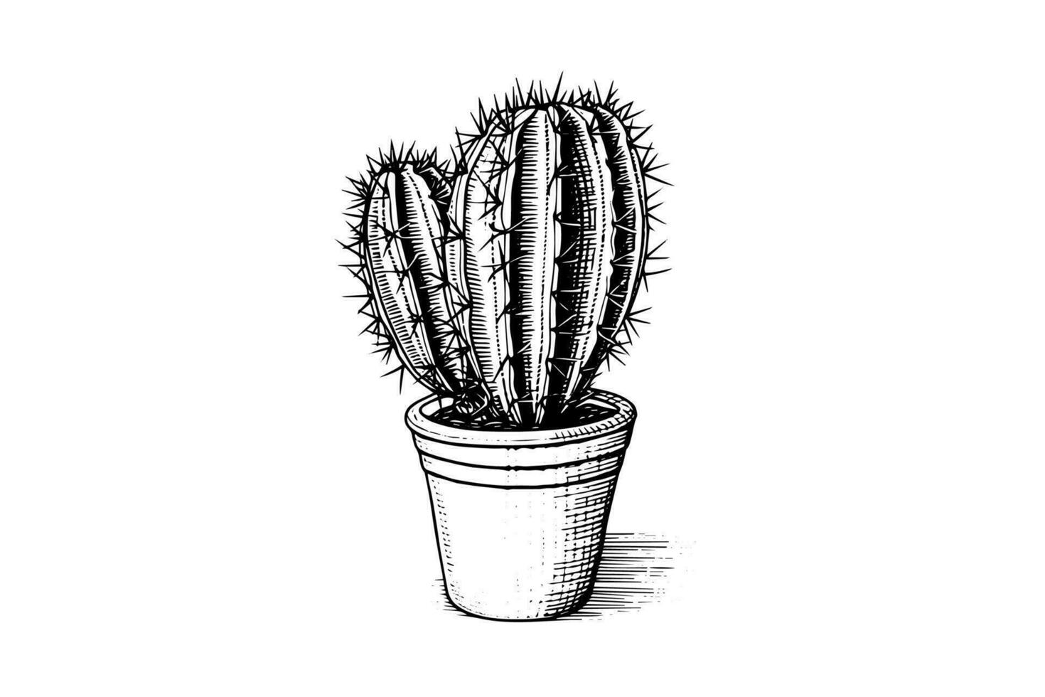 Cactus hand drawn ink sketch. Engraving style vector illustration.