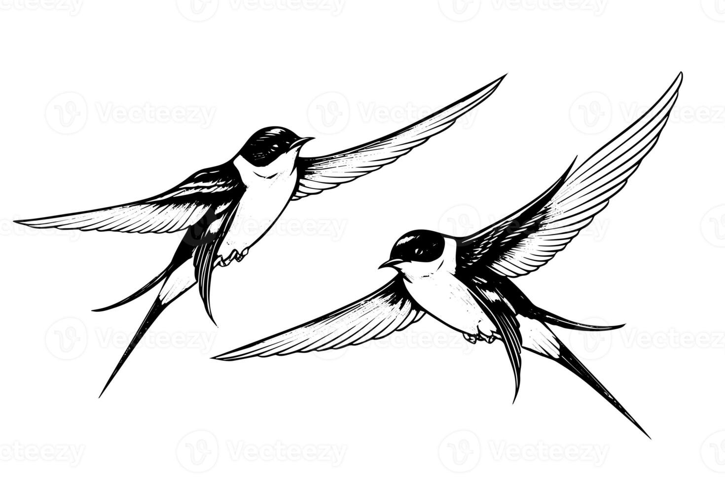 Ink sketch of flying swallow. Hand drawn engraving style vector illustration. photo