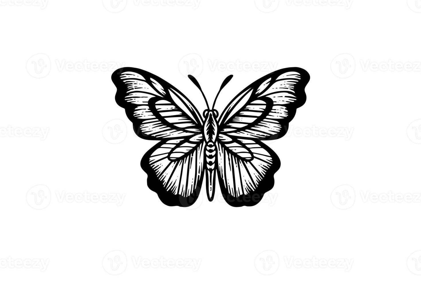 mariposa bosquejo. mano dibujado grabado estilo vector ilustración. foto