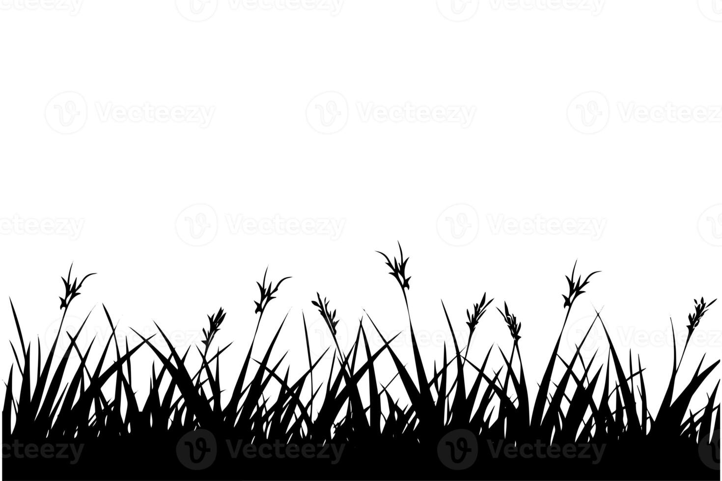 Abstract background with black silhouettes of meadow wild herbs and flowers. Vector illustration. photo